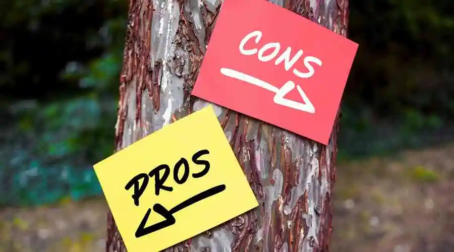 Pros and Cons To Home Addition Options: The Homeowner’s Guide